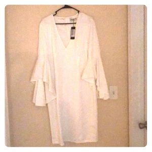 Ruffle-Sleeved Dress